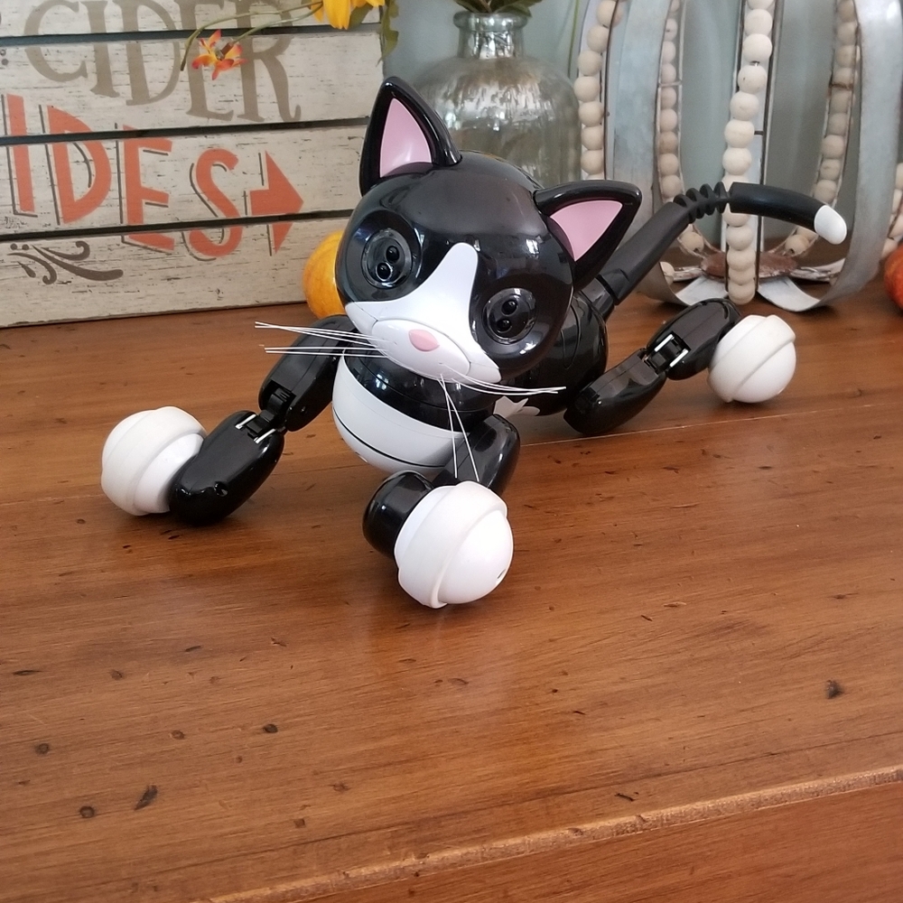 Zoomer cat
